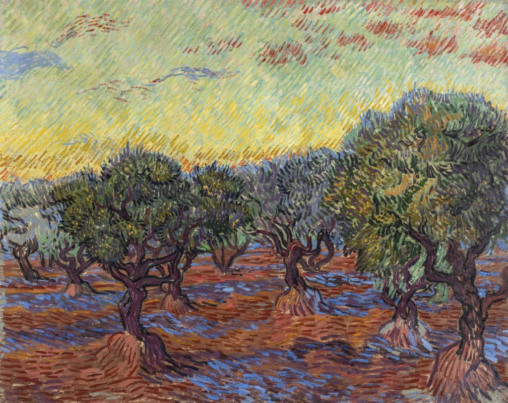 van-goghs-symbolic-olive-trees-and-landscapes-at-the-dallas-museum-of-art